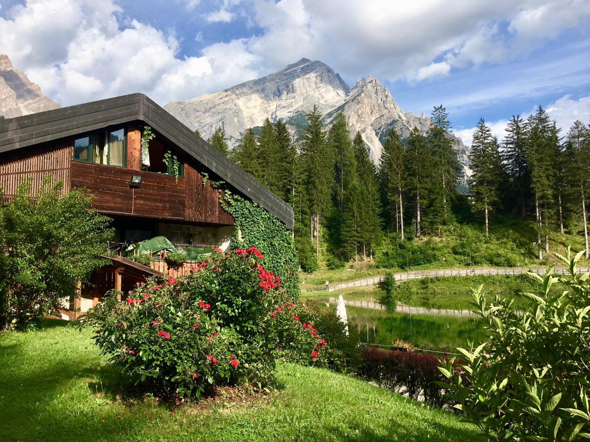 Parkhotel Ladinia San Vito di Cadore Bagian luar foto